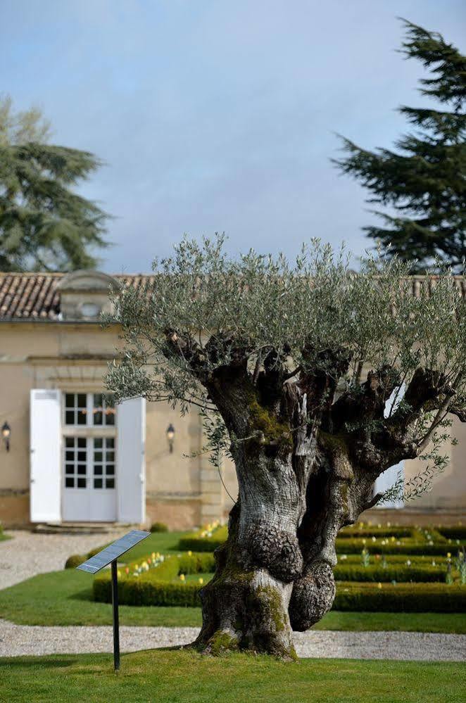 Chateau Fombrauge Saint-Christophe-des-Bardes Exteriör bild